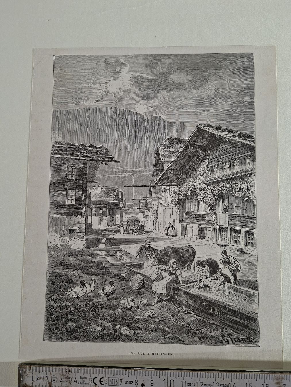 Incisioni: Lot 24, 5 Stiche – Usato da Grindelwald venduto da carro5 9
