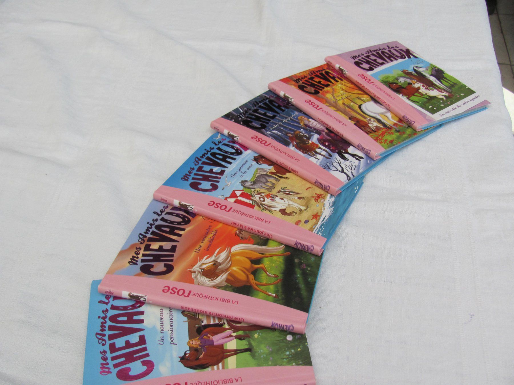 Libri: Les Chevaux – Usato da Vétroz venduto da magnolia5 1