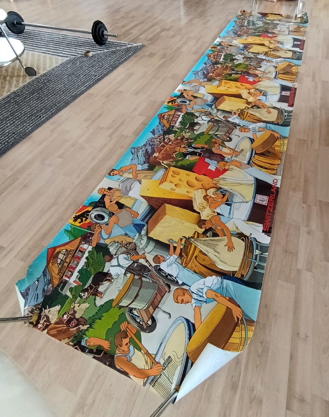 Foto & Immagini: 1975 Schweizer Käse Poster 3,5 Meter lang – Usato da Wil SG venduto da Donaldus 1