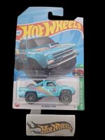 Hot Wheels HW Reverse Rake 2024 87 Dodge D100 1/5 L Türkis
