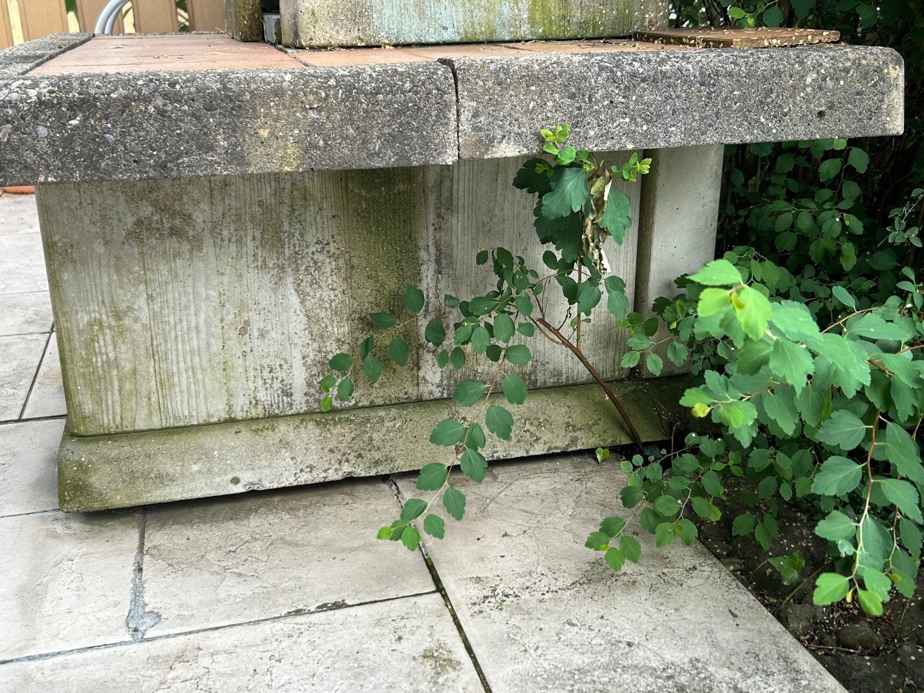 Griglie: Gartencheminée, Massiver Steingrill-Ofen – Usato da Untereggen venduto da mara15 5