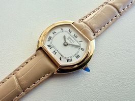ZENO De Luxe, Steel-Gold, "TV screen"type, Mechanical, Swiss