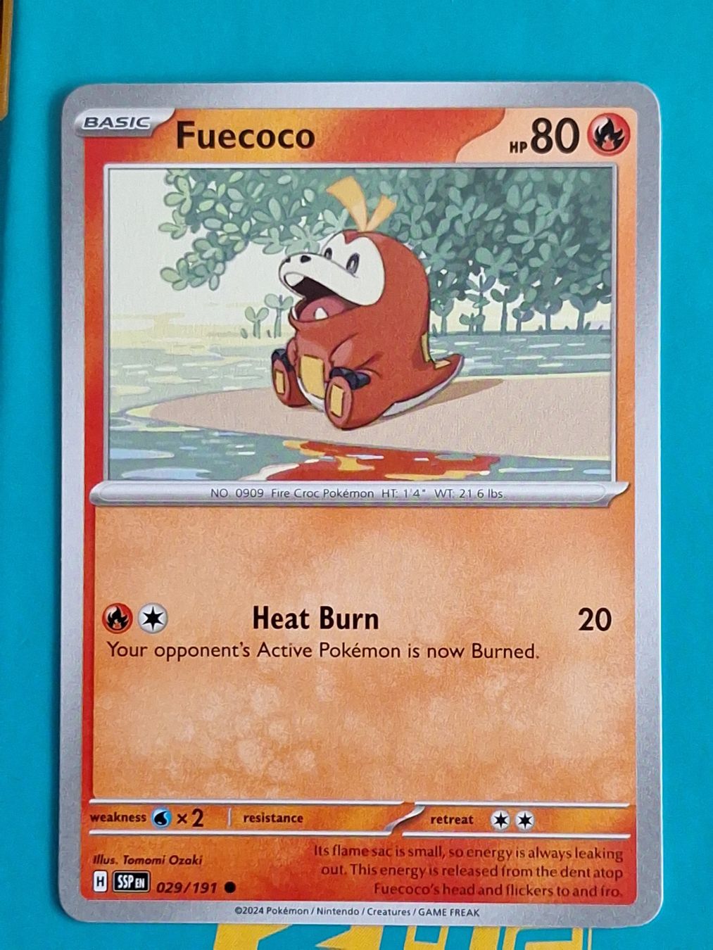 Pokémon Carte collezionabili: Fuecoco - Pokemon Surging Sparks – Usato da Altstätten SG venduto da GGsGameshop
