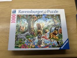 Ravensburger Puzzle: Dschungel - 1000 Teile, Top!