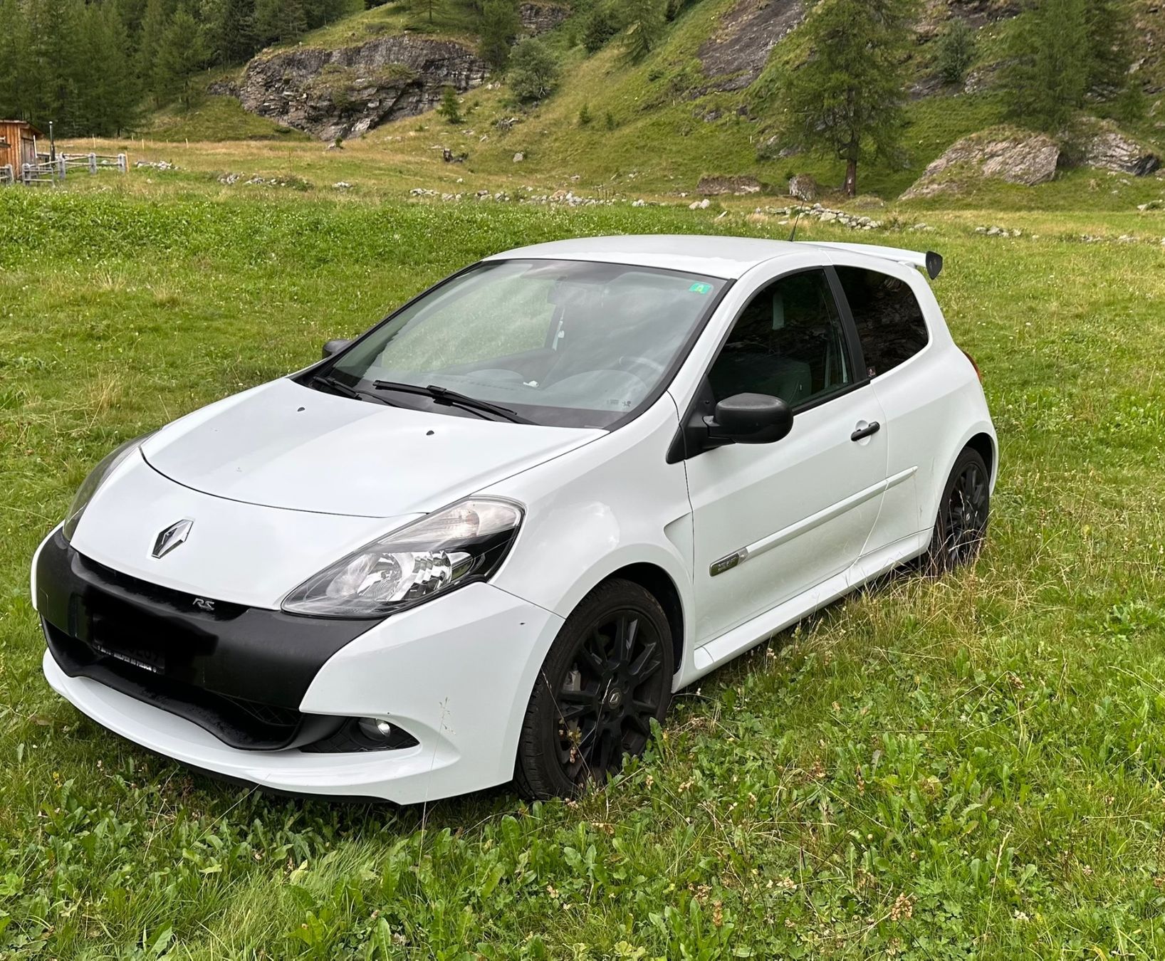 Renault Automobili: Renault Clio Sport 2.0 16V – Usato da Davos Platz venduto da Banani89 1