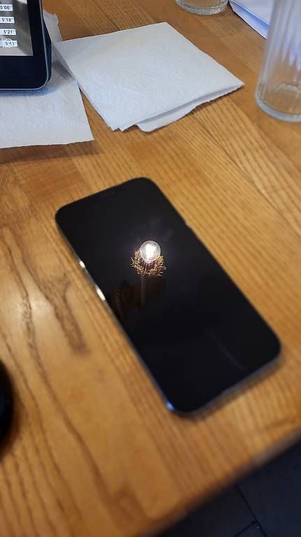 Handys / Smartphones: Iphone 12 Pro Max, 256 gb in Top-Zustand – Gebraucht aus Vezia von Robi1311 1