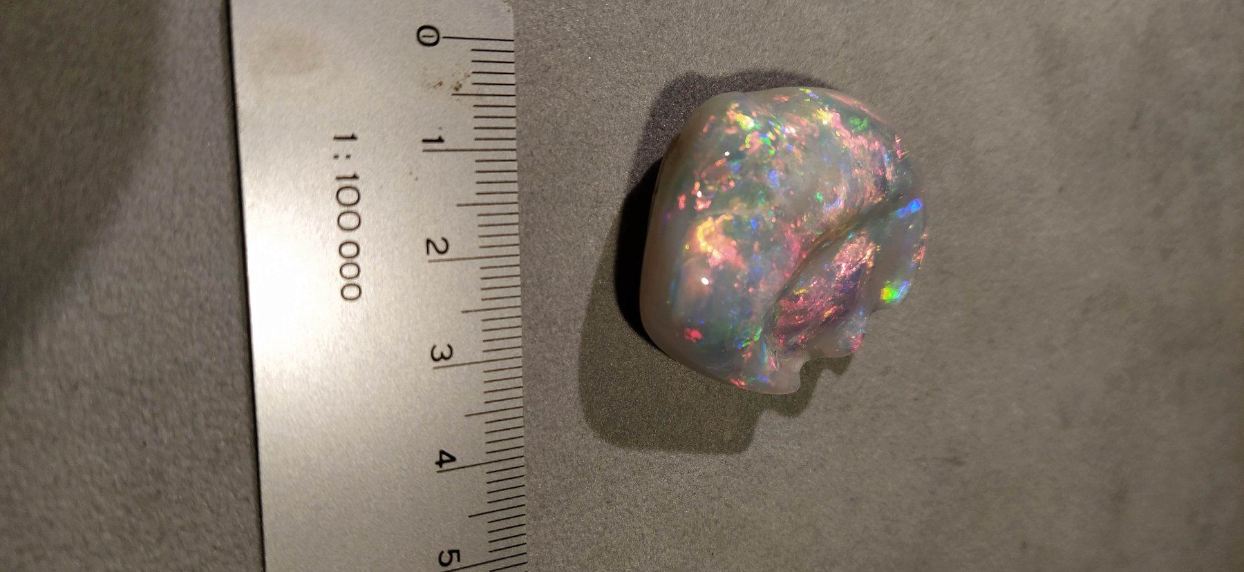 Fossili: Opalisierte Muschel – Nuovo (secondo la descrizione) da Dieterswil venduto da Opal66 6