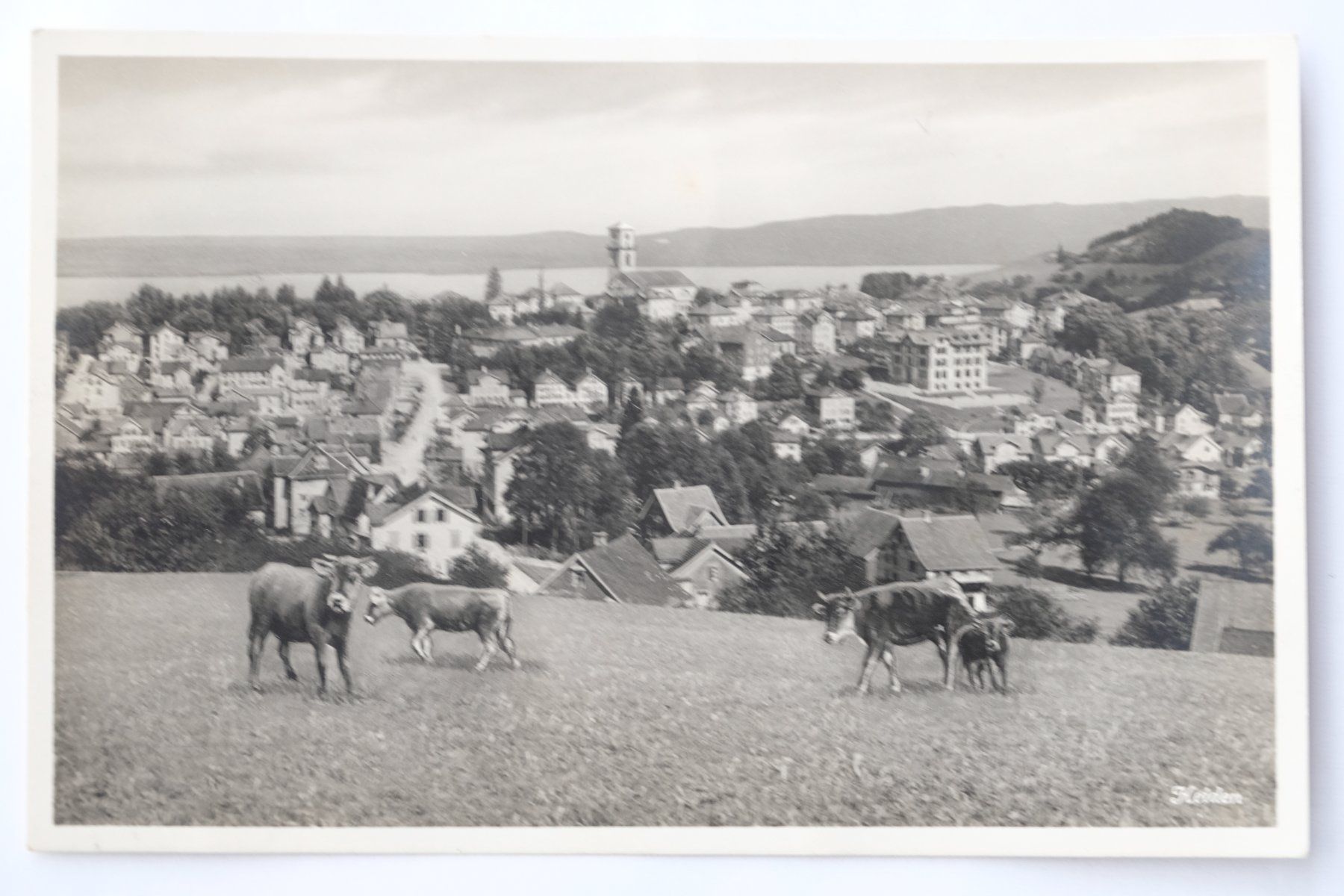Cartoline postali: Ansichtskarte Heiden AR 1929 – Usato da Ehrendingen venduto da nicoro50