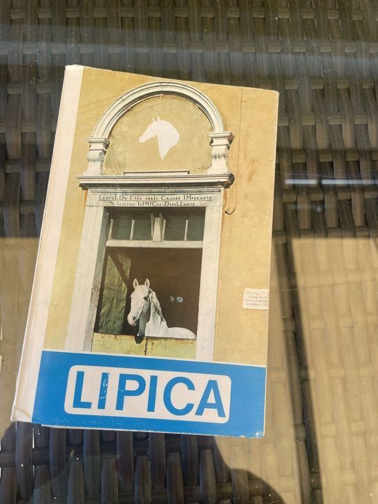 Libri: Lipica - Italienisch (Antik 1973) – Usato da Bergdietikon venduto da book-4-you