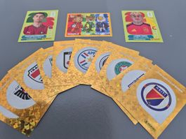 Tolle Gelegenheit - Fifa Panini 2026 - 13 gefragte Bilder!