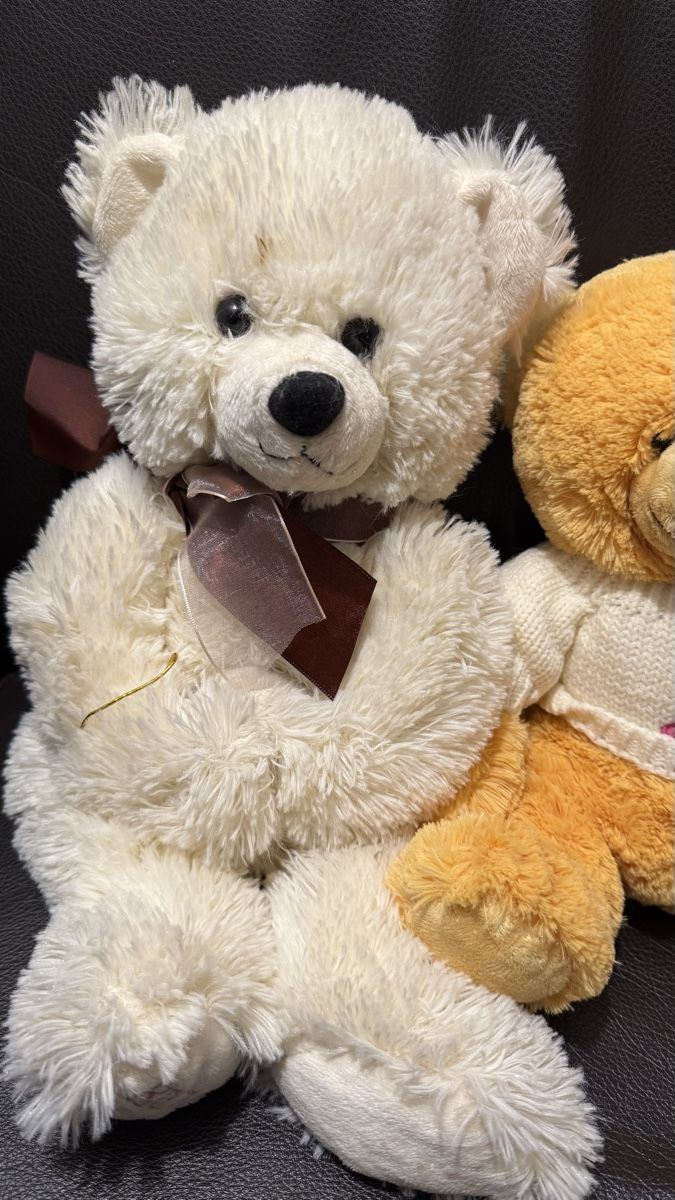 Jouets: 7 Teddy bears Gr. M and S – D'occasion à Wallisellen par S_lb 1