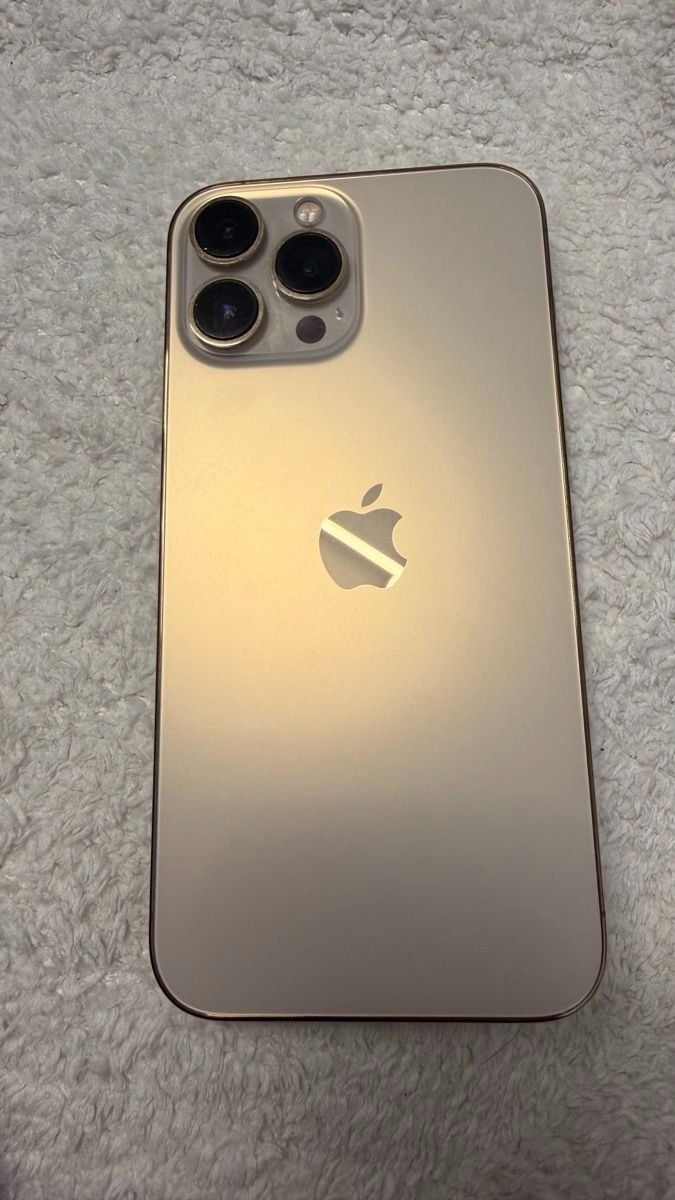 Apple Telefoni cellulari / Smartphones: iPhone 13 Pro Max (256GB) – Usato da Luzern venduto da Migschi