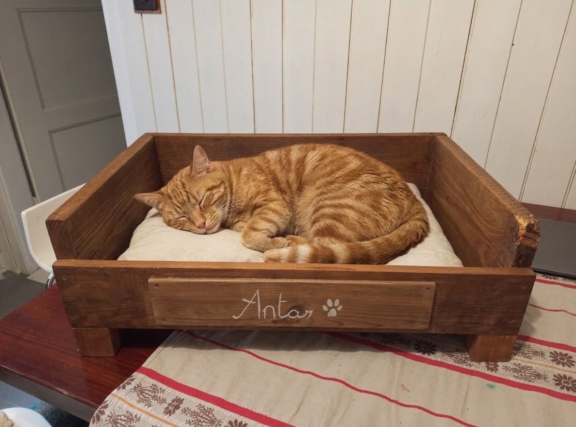 Cucce & Letti: Lit en bois pour animaux – Usato da Bienne venduto da Daniel_Schader
