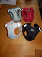 4 Laufgeschirre für kleine Hunde 28-32cm wenig gebraucht !