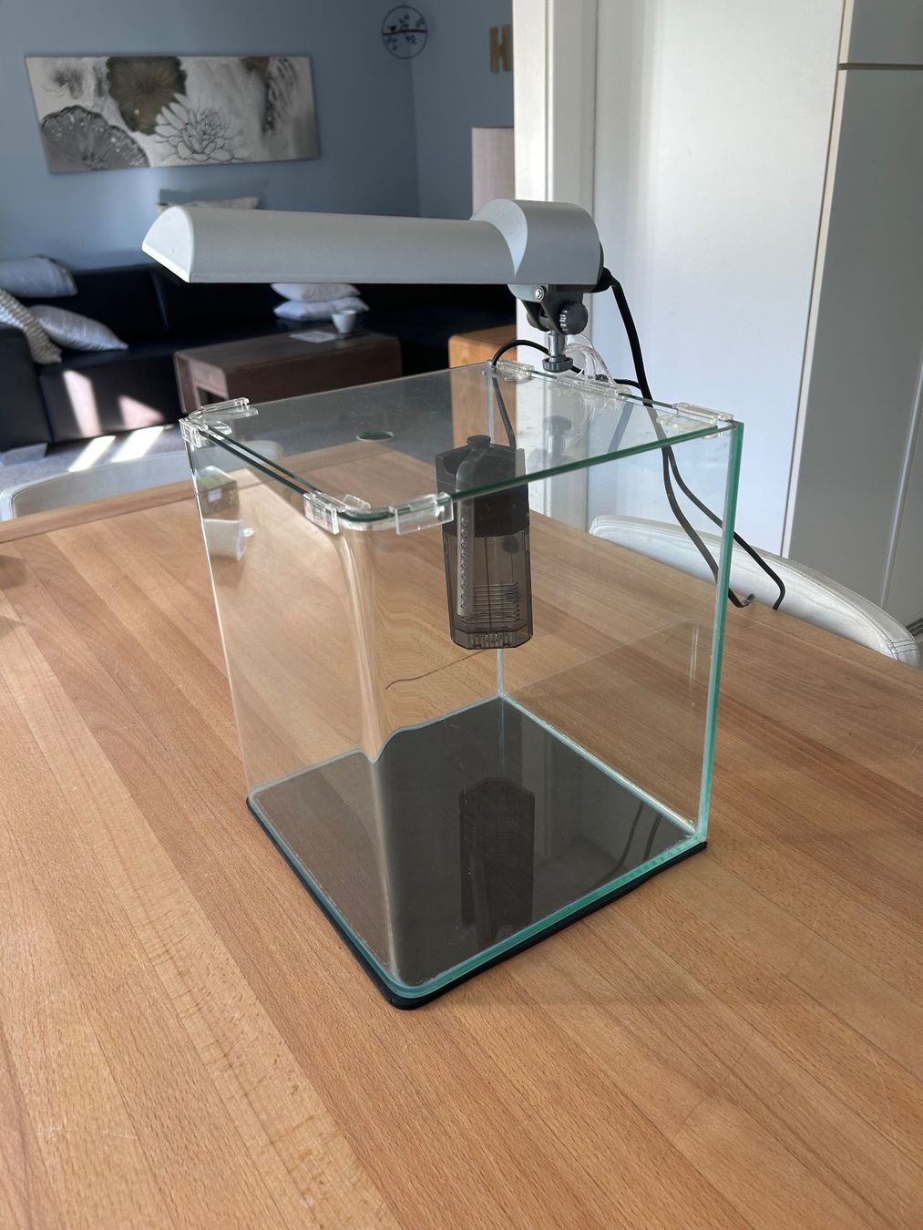 Dennerle Aquarium: Aquarium Dennerle Nano Cube 20 Liter – Gebraucht aus Zürich von Ctoc 1