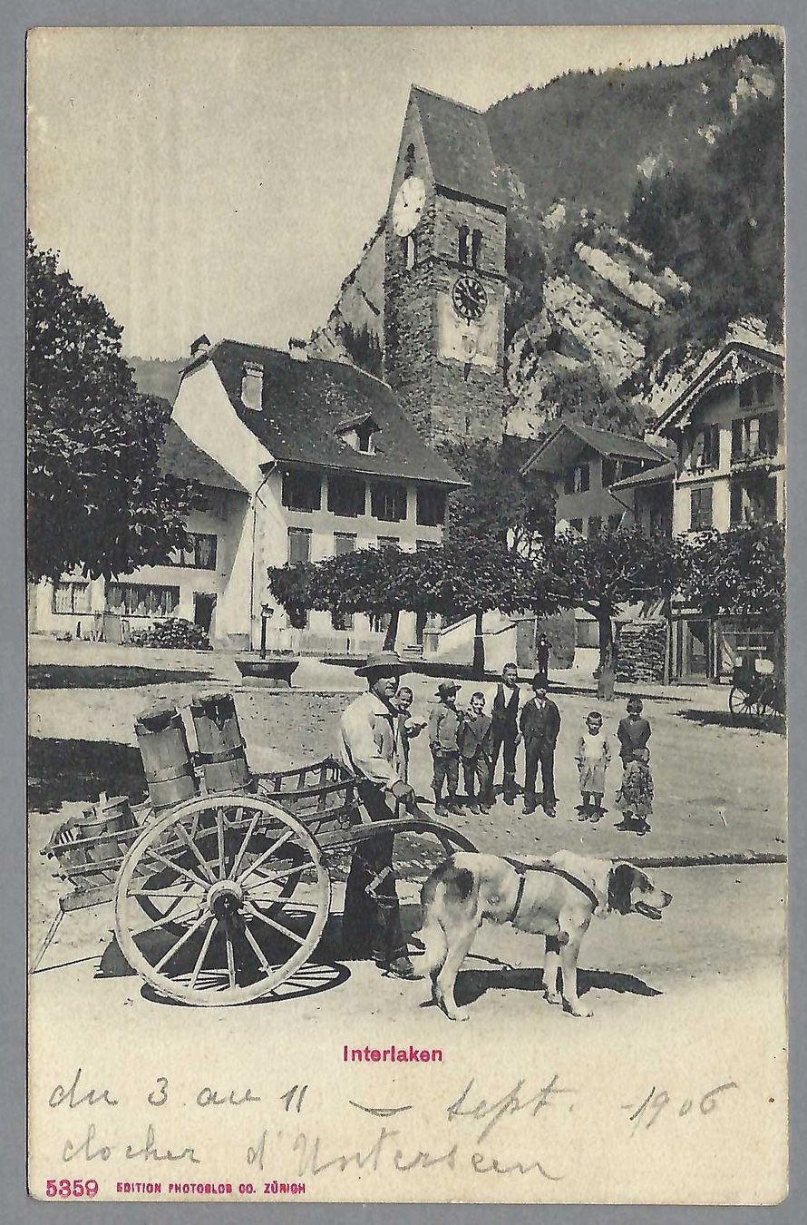 Cartoline postali: INTERLAKEN, MILCHMANN MIT HUND, * – Usato da Pura venduto da ulisse1957