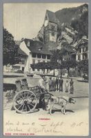 INTERLAKEN, MILCHMANN MIT HUND, *