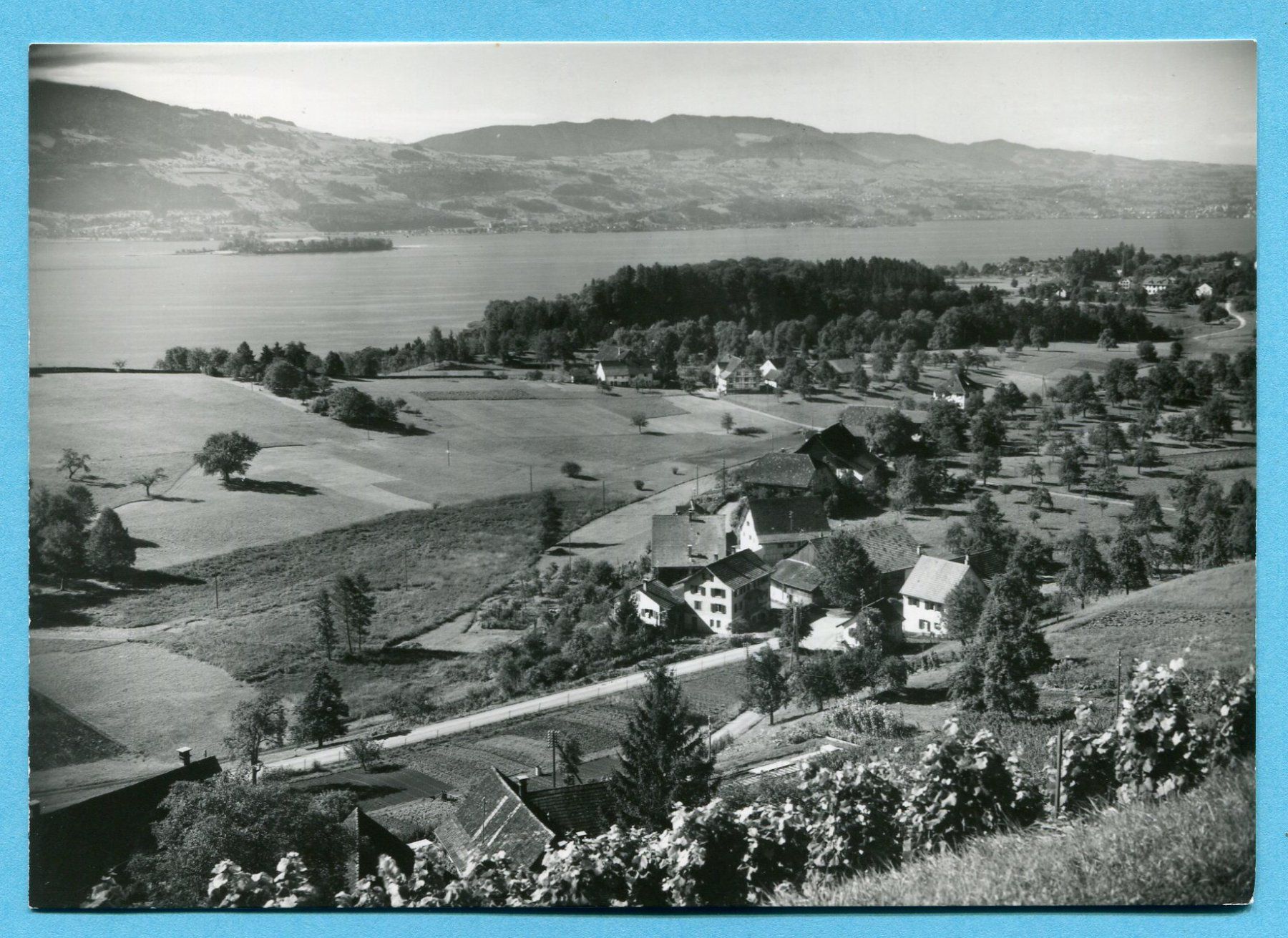 Ansichtskarten: Schlatt - Feldbach 1964 – Gebraucht aus Opfikon von cleocat-vb