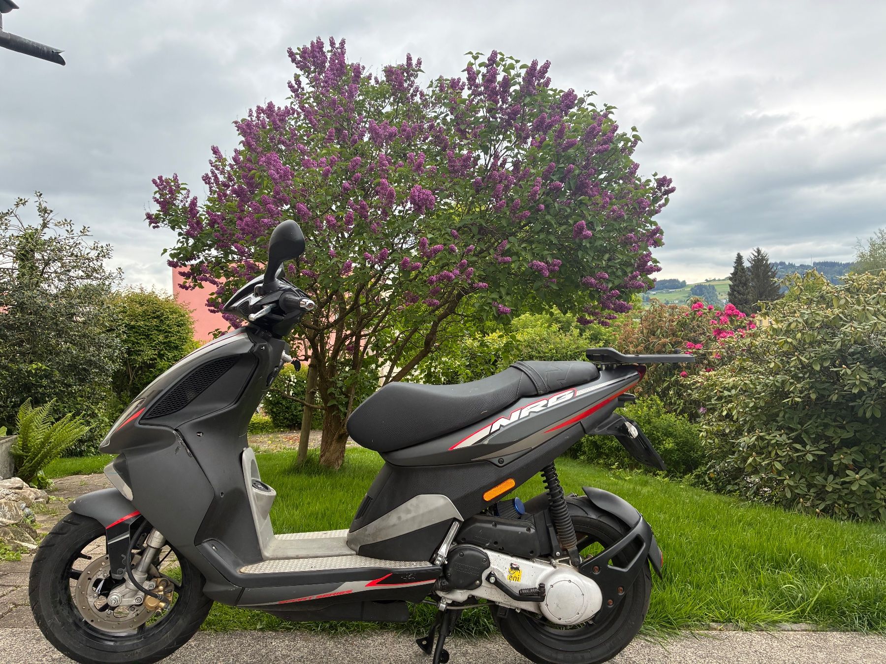 Piaggio Scooter: Piaggio NRG – Usato da St. Gallen venduto da MarkoBoss 1