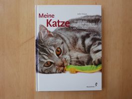 "Meine Katze" - Ganzheitliche Heilung