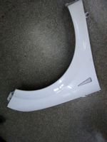 Kotflügel re. Renault Scenic 2