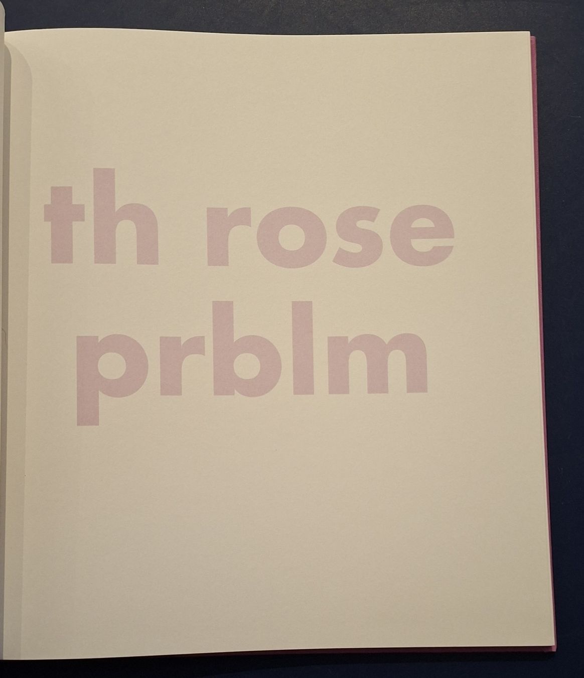 Livres: Roni Horn "Th Rose Prblm" Bildband Steidl 2015 – Neuf (Voir description) à Niederglatt ZH par Siegfried67 2