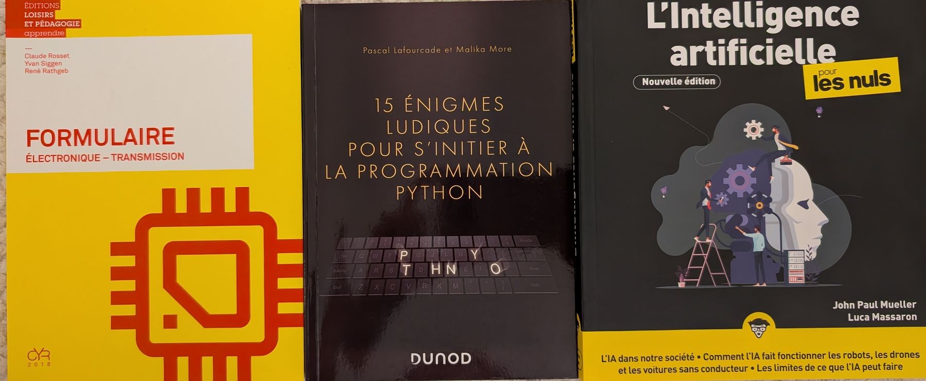 Bücher: Lot de 3 livres: IA - Programmation Python - Électronique – Neu (gemäss Beschreibung) aus Montreux von mad_z9lj