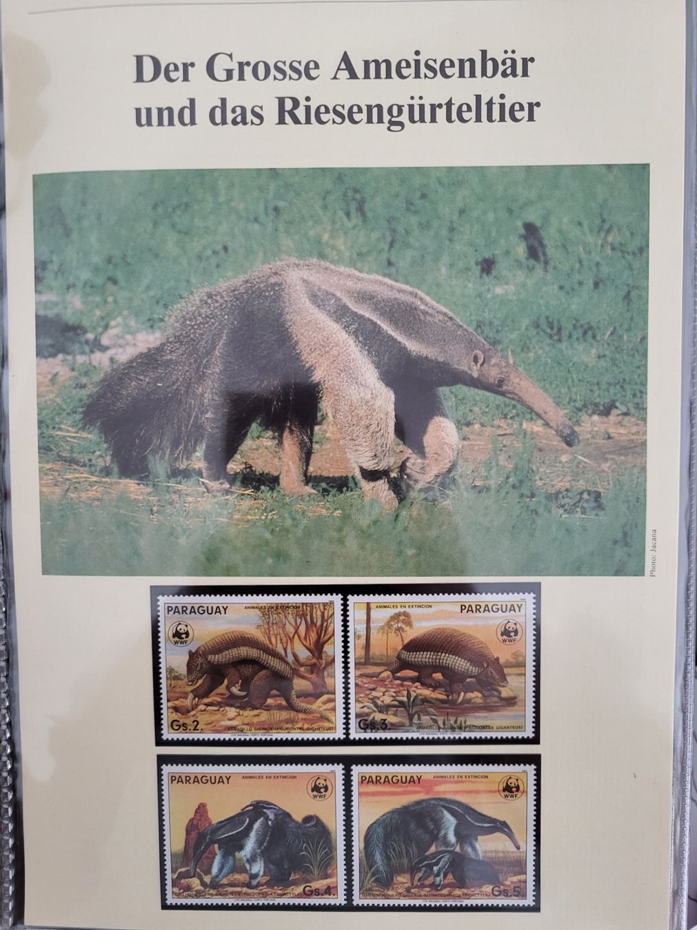 Tutti i francobolli: WWF-Album mit 10 Ausgaben – Nuovo (secondo la descrizione) da Wetzikon ZH venduto da BeniB01 3