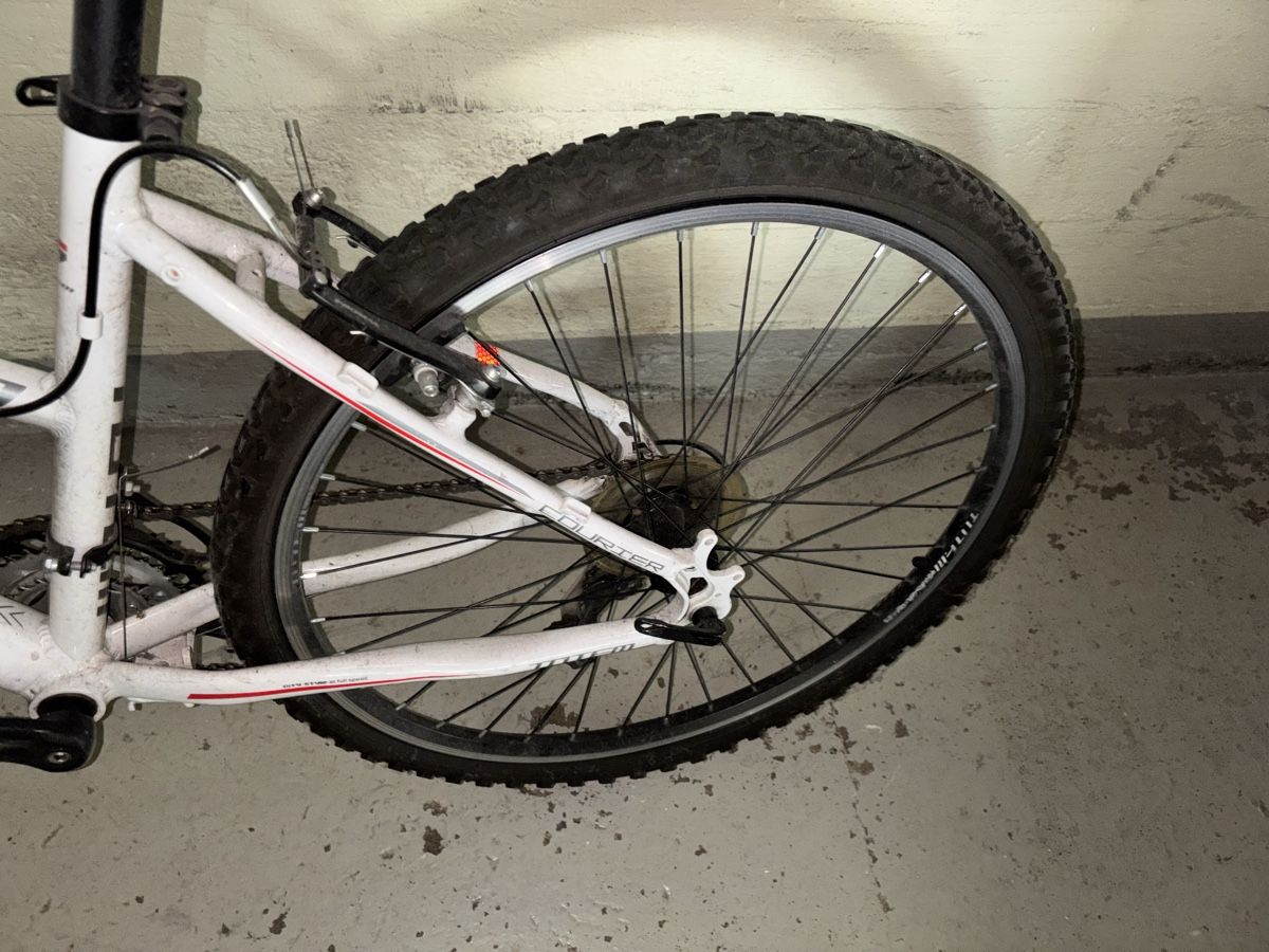 Totem Velos: Mountainbike Totem – Gebraucht aus Olten von Melxnie_46 2