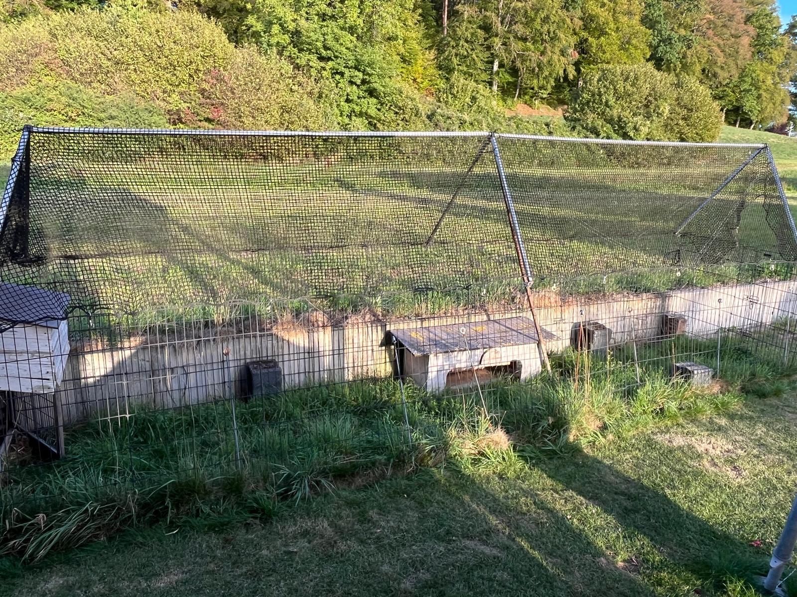Gitter & Roste: Freilaufgehege, Gitterteile – Gebraucht aus Fehraltorf von alsi73