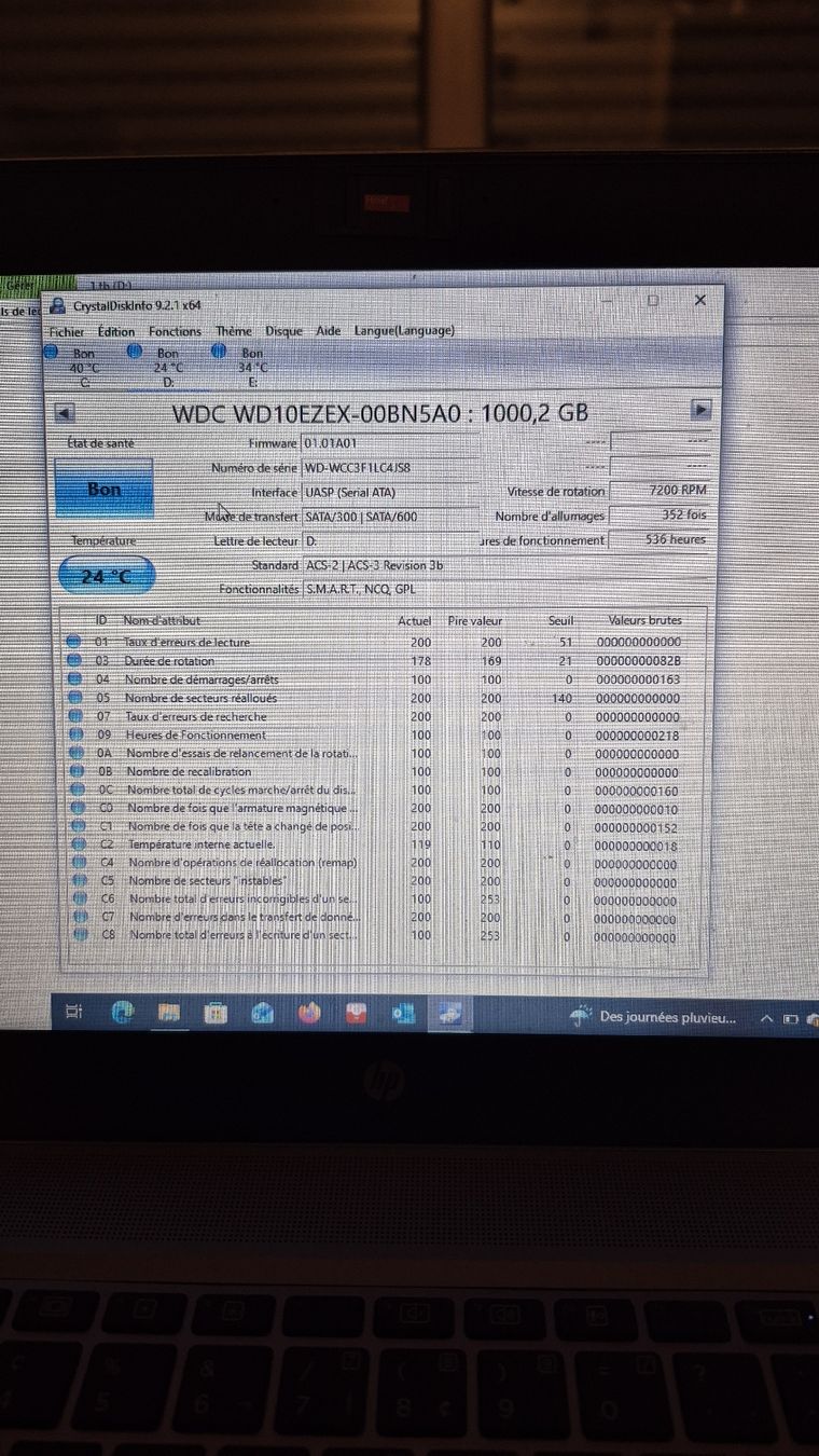 Western Digital Dischi rigidi: 1 tb wd Blue 3.5" – Usato da Léchelles venduto da sim7891 1