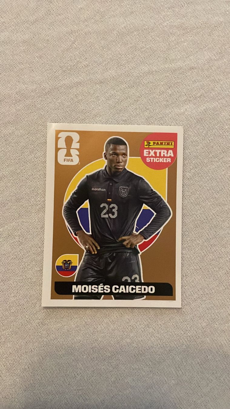 Panini Carte collezionabili: Moises Caicedo Extra Sticker Panini WM 2026 Bronze – Nuovo (secondo la descrizione) da Aadorf venduto da Oili