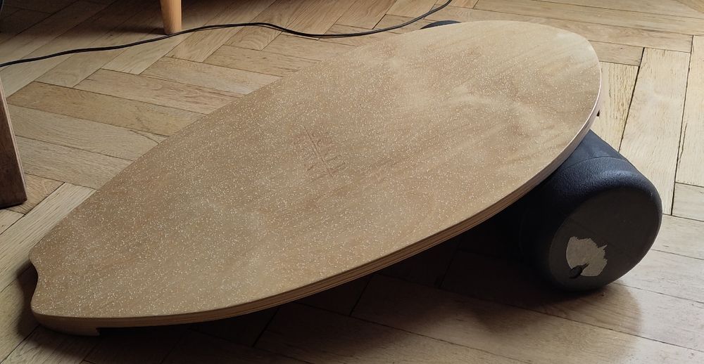 Balance Board Rolle für Fortgeschrittene Kaufen auf Ricardo