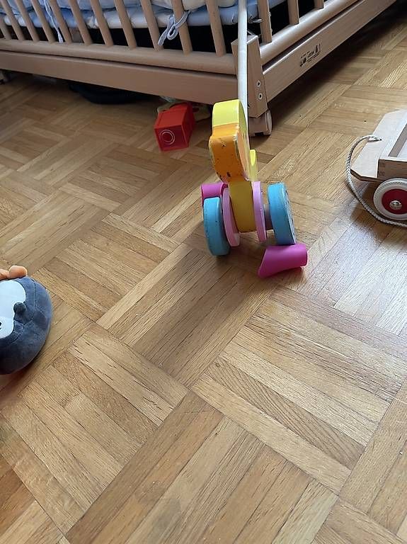 Spielzeuge: Lernlaufente – Gebraucht aus Rorbas von zebra027 1
