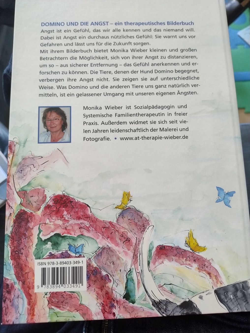 Livres: Domino und die Angst – D'occasion à Bätterkinden par livingdreams 1