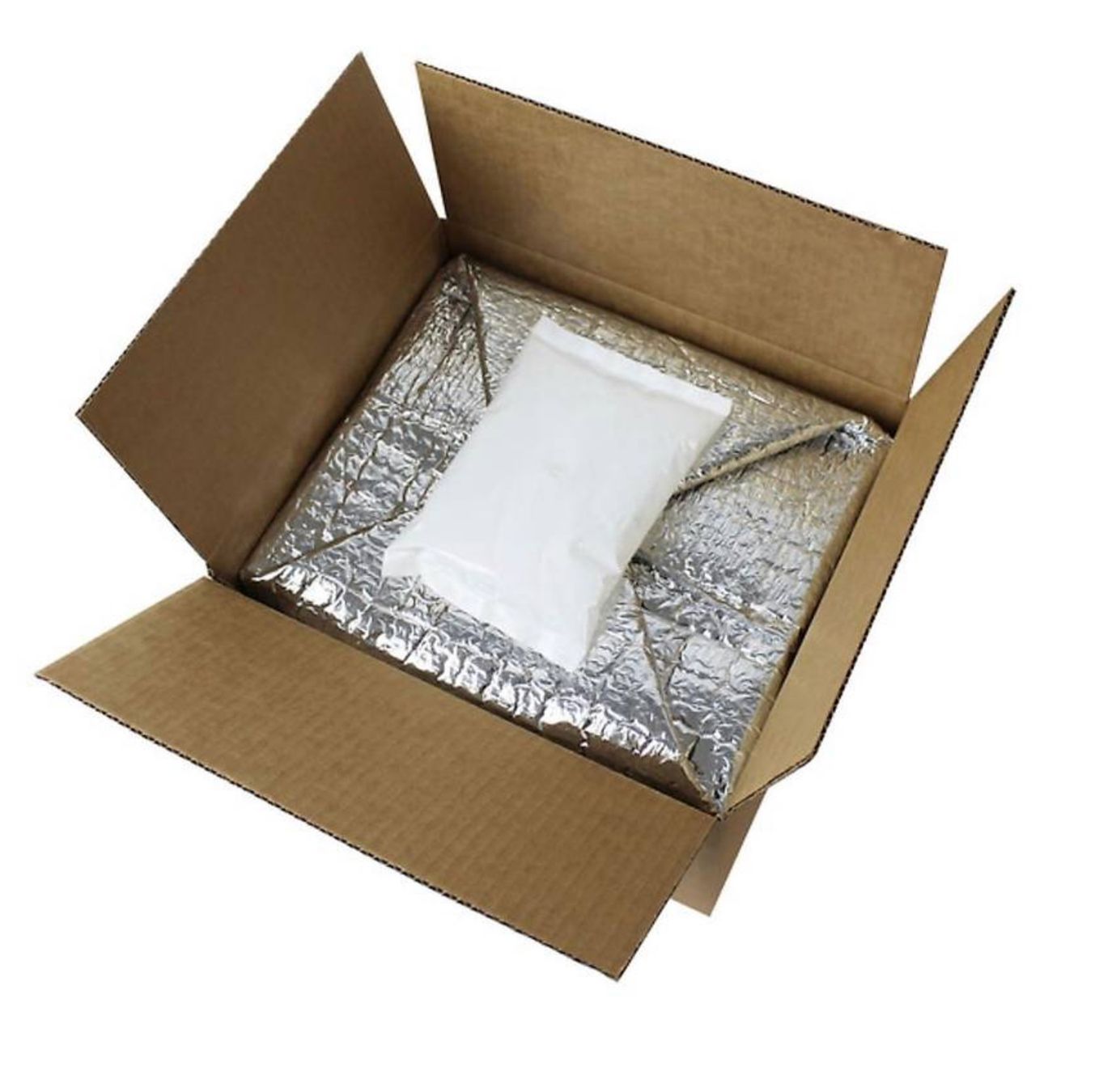 Frigoriferi & Refrigeratori: 38 Kühlbeutel inkl. Kühlbox – Nuovo e nell'imballaggio originale da Bülach venduto da StoreInShop.com 2