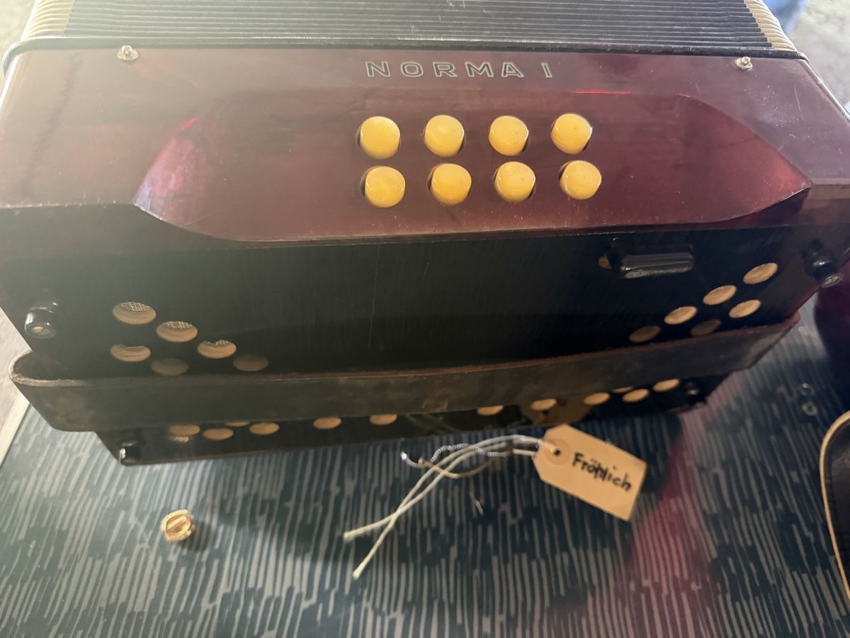 Hohner Strumenti musicali: Hohner Norma 1 – Usato da Muhen venduto da MiGeiss64 8
