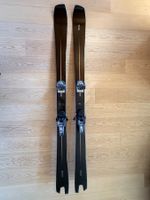 Skis SIMPLY Carver