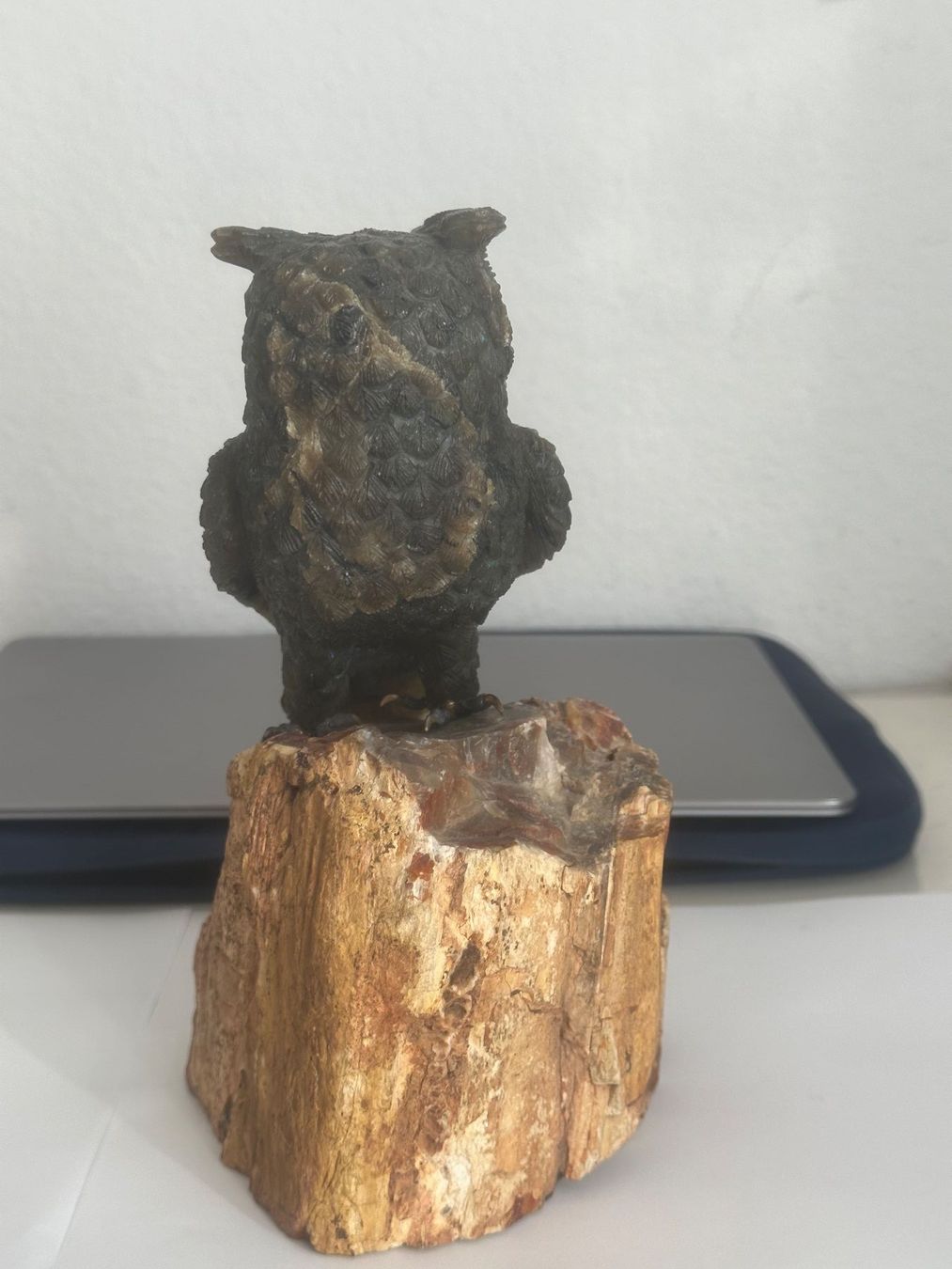 Statuette: Handgeschnitzte Labradorit Eule mit Silberkrallen – Usato da Basel venduto da ari_qn6c 5