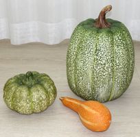 Deko-Kürbisse für den Herbst