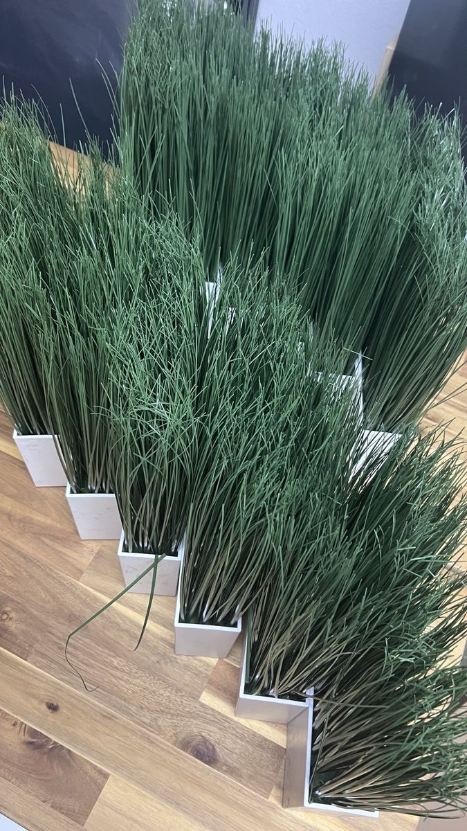 Ikea Tutte le decorazioni: 12 Kunstgras Pflanzen IKEA  mit weissem Topf Grösse – Usato da Wil SG venduto da mia2016