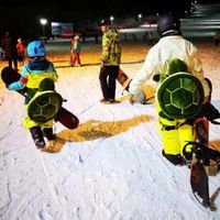 Hüftschutz zum Snowboarden – Schildkröte (Grün) - M