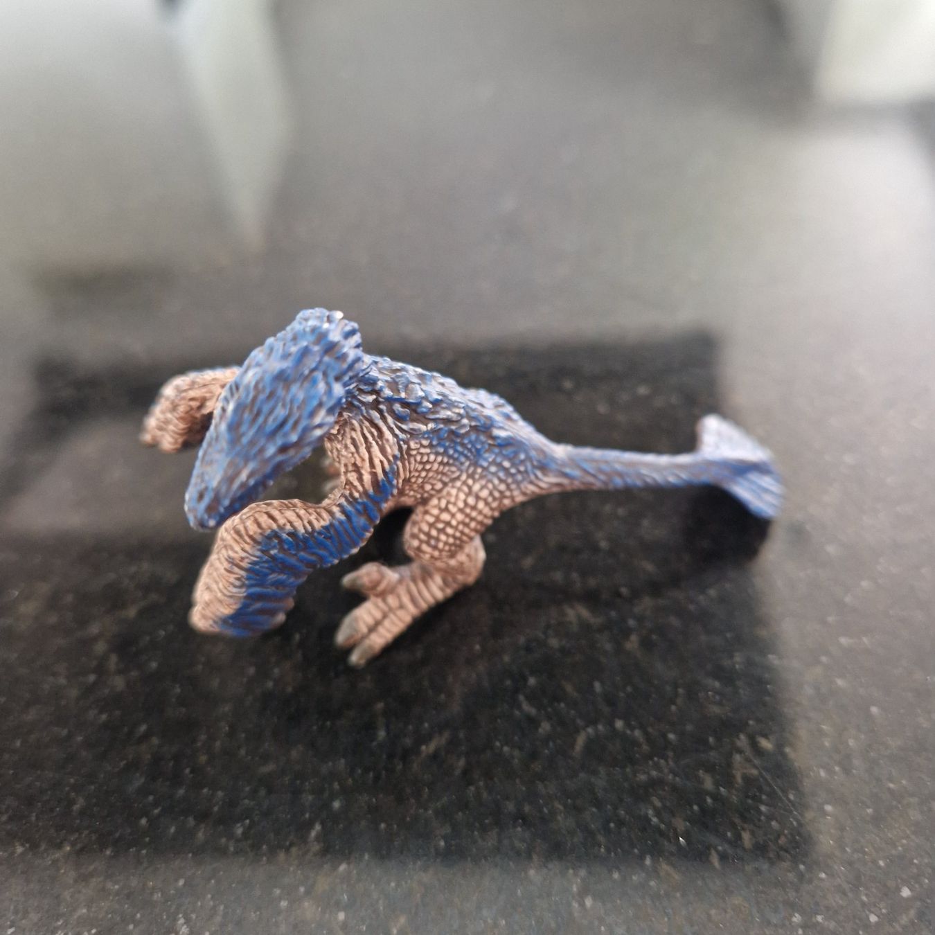 Schleich Statuette: Schleich Dino? Neuwertig – Nuovo (secondo la descrizione) da Gränichen venduto da sunchi07 1