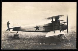 Foto-AK Sanke Nr. 1031: Flugzeug, Franz