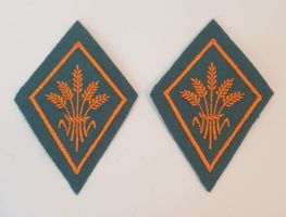 Kragenspiegel Versorgungssoldat
