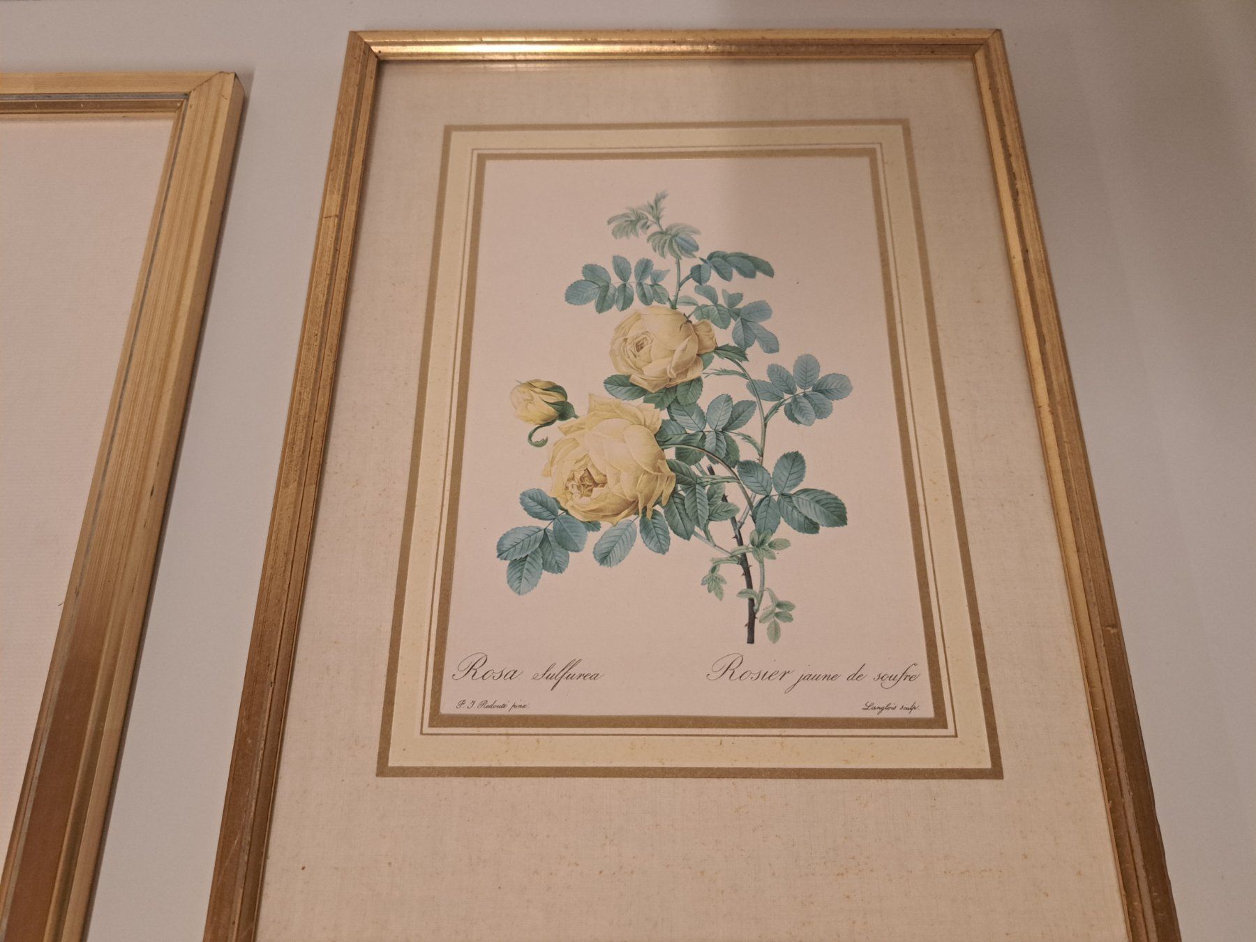 Incisioni: 3x Stich Bild Litho/ Rosen – Usato da Belp venduto da deal-now 2