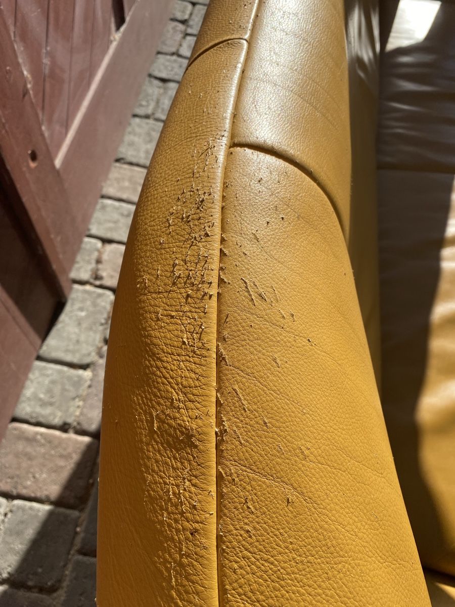 Divani: Rolf Benz Designer Sofas – Usato da Matzingen venduto da RottenApple 6