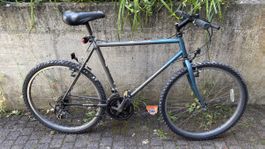 Gepflegtes MTB Velo 26 Zoll