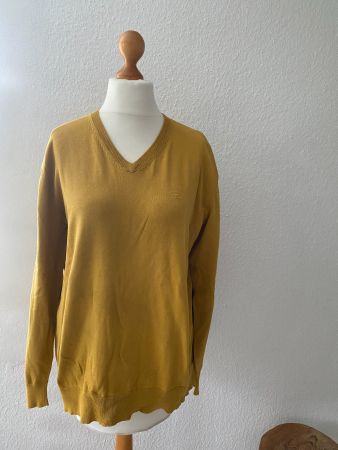 Original Tom Tailor Pulli in currygelb in Gr. XL (42)