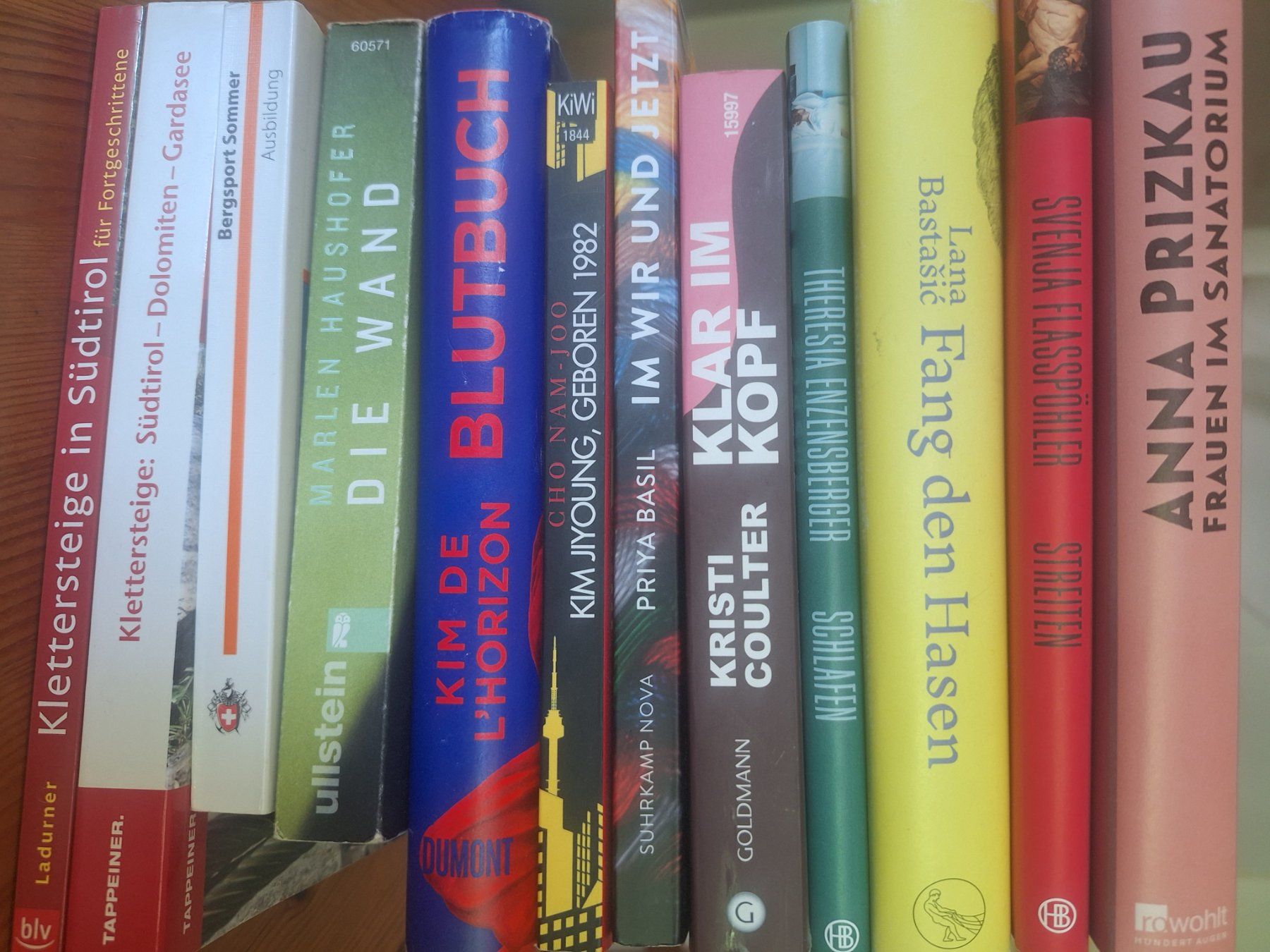 Bücher: Marlen Haushofer - Die Wand, Roman, Ullstein – Gebraucht aus Horw von neigette 2